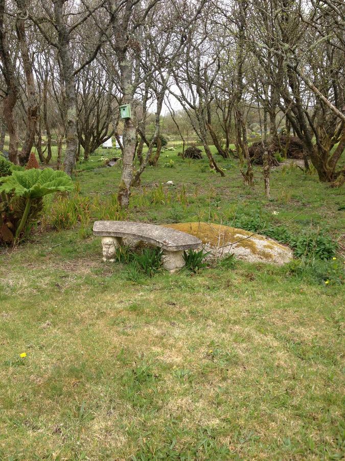 Sweetwater Farm Bed and Breakfast Πενζάνς Εξωτερικό φωτογραφία