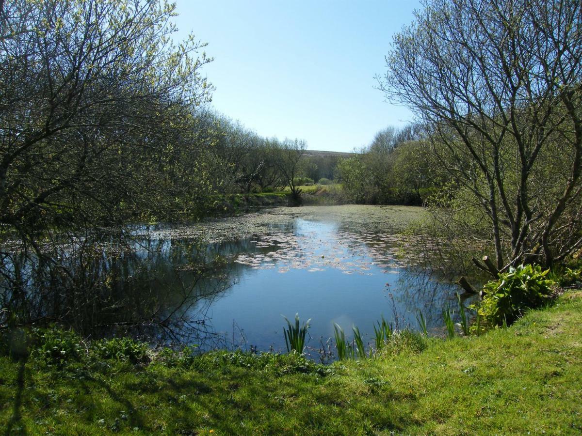 Sweetwater Farm Bed and Breakfast Πενζάνς Εξωτερικό φωτογραφία